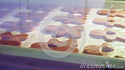 Baking Christmas Gingerbread Cookies in a Modern Kitchen Stock Photo