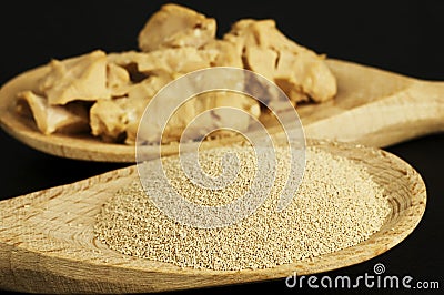 Baking ingredient yeast powder and fresh yeast Stock Photo