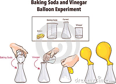 Baking Soda and Vinegar-Balloon Experiment-Science Vector Illustration