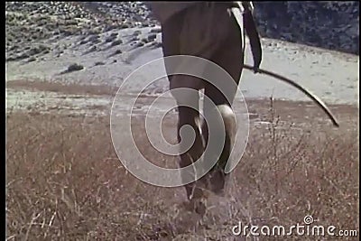 Bakre sikt av en indianmanspring med pilbågen och pilen i fält lager videofilmer Bakre sikt av en indianmanspring med pilbågen och pilen i fält lager videofilmer