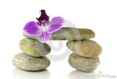 Balance rocks with orchid Stock Photo
