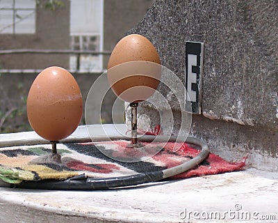 Balancing Eggs Editorial Stock Photo