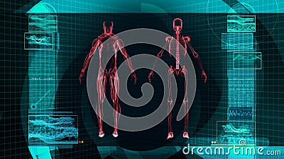 Balayage de rayon X de Digital du corps humain (HD) illustration de vecteur Balayage de rayon X de Digital du corps humain (HD) illustration de vecteur