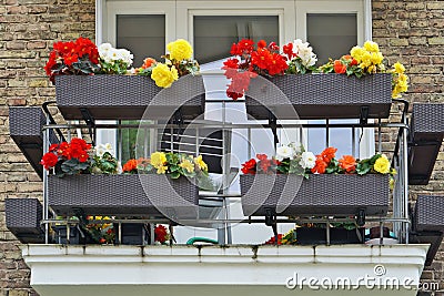 Balcony with flowering colorful begonia Stock Photo