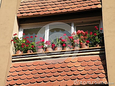 Balcony and flowers Stock Photo