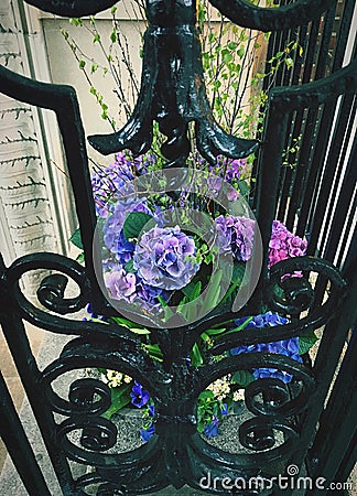Balcony flowers Stock Photo