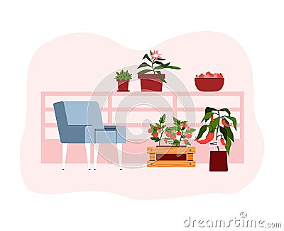 Balcony garden with plants and furniture, cartoon vector illustration isolated. Vector Illustration