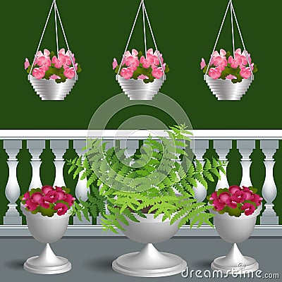Balcony with geraniums and paparotnikom Stock Photo