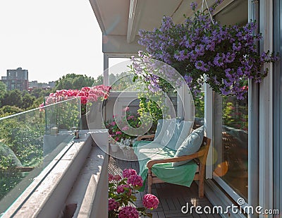 Balcony plants, beautiful different colored flowers, blu sky Stock Photo