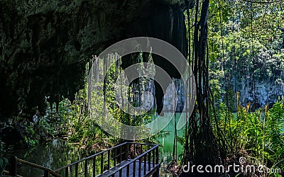 Balcony to vegetation and water Stock Photo