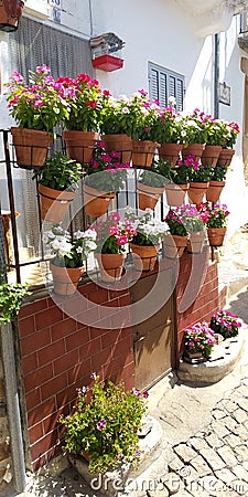 Balcony with vases Stock Photo