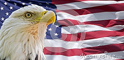 Bald Eagle and American flag Stock Photo