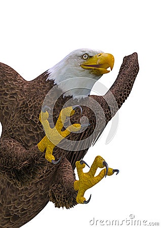 Bald eagle attacking on white background close up Cartoon Illustration