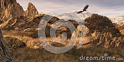 Bald Eagle In The Colorado Rockies Stock Images - Image: 1967974