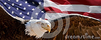 Bald eagle and flag Stock Photo