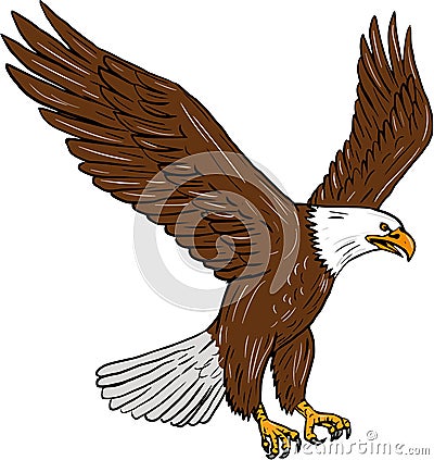 Bald Eagle Flying Drawing Vector Illustration