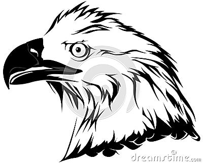Bald Eagle Head Vector Illustration
