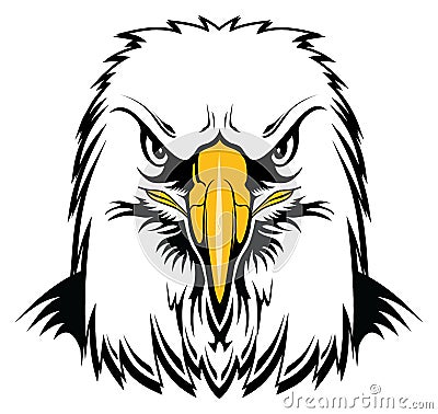 Bald Eagle Head Vector Illustration