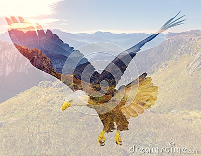 Bald eagle on mountain landscape background. Cartoon Illustration