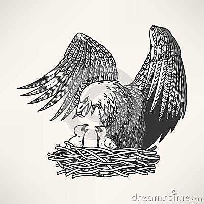 Bald eagle in the nest Vector Illustration