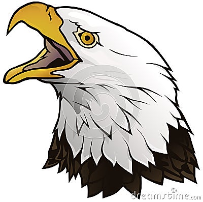 Bald Eagle Portrait Illustration Vector Illustration