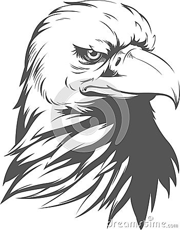 Bald Eagle Silhouette Vector Illustration