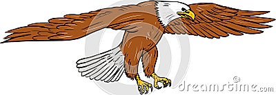 Bald Eagle Swooping Drawing Vector Illustration