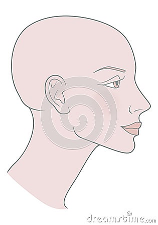 Bald Hairless Profile of a girl with a beautiful skull. Shaved skull. Vector image Vector Illustration