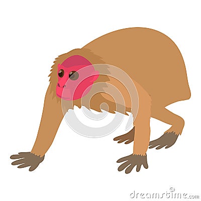 Bald wakari icon, cartoon style Vector Illustration