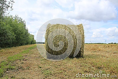 Bale of hay in the park and in the distance windmills turbine in spring. Stock Photo