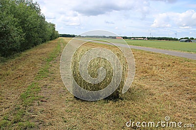 Bale of hay in the park and in the distance windmills turbine in spring. Stock Photo