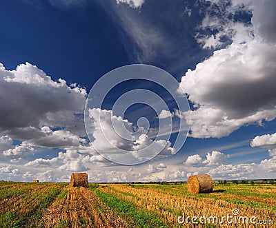 Hay bale farm field in the summer. Hay bale on the meadow after harvest, near Pannonhalma, Hungary Stock Photo