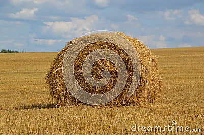 Bale straw Stock Photo