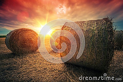 Baled Hay Rolls at Sunset Stock Photo