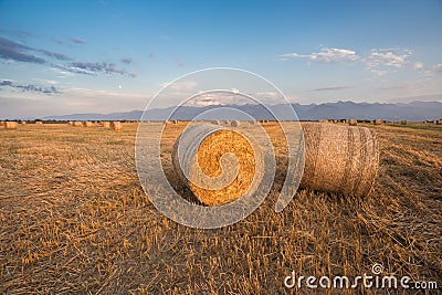 Baled Hay Rolls at Sunset Stock Photo
