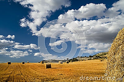 Bales of hay in a field Stock Photo