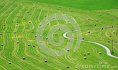 Bales of hay on meadow Stock Photo