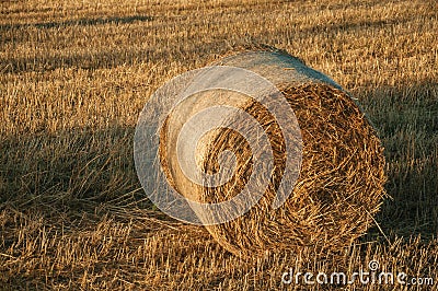 Bales of hay at sunset in a farm Stock Photo