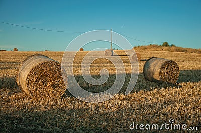 Bales of hay at sunset in a farm Stock Photo