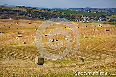 Bales of straw on a harvested field, Tuscany, Italy, Europe Stock Photo