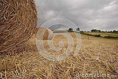 Bales of straw Stock Photo