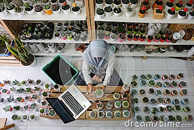 BALI/INDONESIA-MAY 25 2019: A Muslim businesswoman is selling succulent plants on internet. She has a clean and white workshop. Editorial Stock Photo