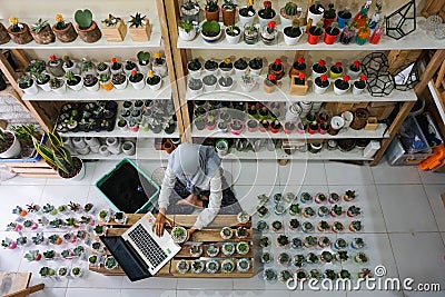 BALI/INDONESIA-MAY 25 2019: A Muslim businesswoman is selling succulent plants on internet. She has a clean and white workshop. Editorial Stock Photo