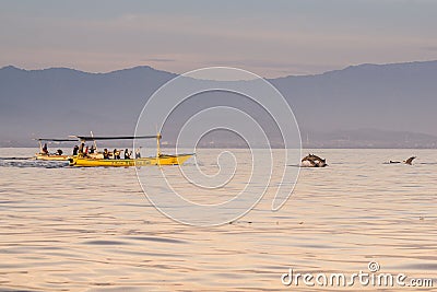 Sunrise view over tourists watching for wild dolphins. Editorial Stock Photo