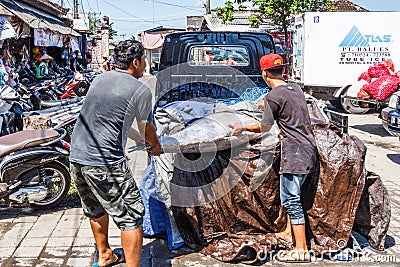 Men loading tuna fish Editorial Stock Photo