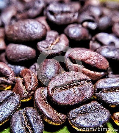 Bali roasted coffee bean Stock Photo
