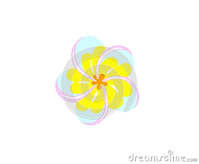 Bali traditional flower plumeria vector illustration Vector Illustration