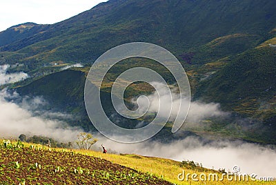 Baliem Valley in Papua Province Stock Photo