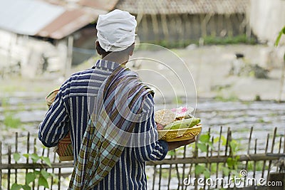 Balinese man bringing traditional offering to Hindu Temple Editorial Stock Photo