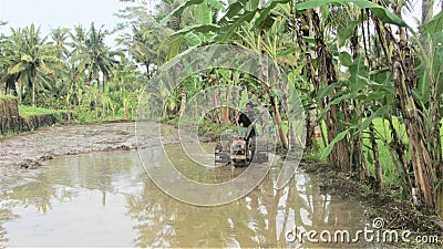 Balinese man working Editorial Stock Photo